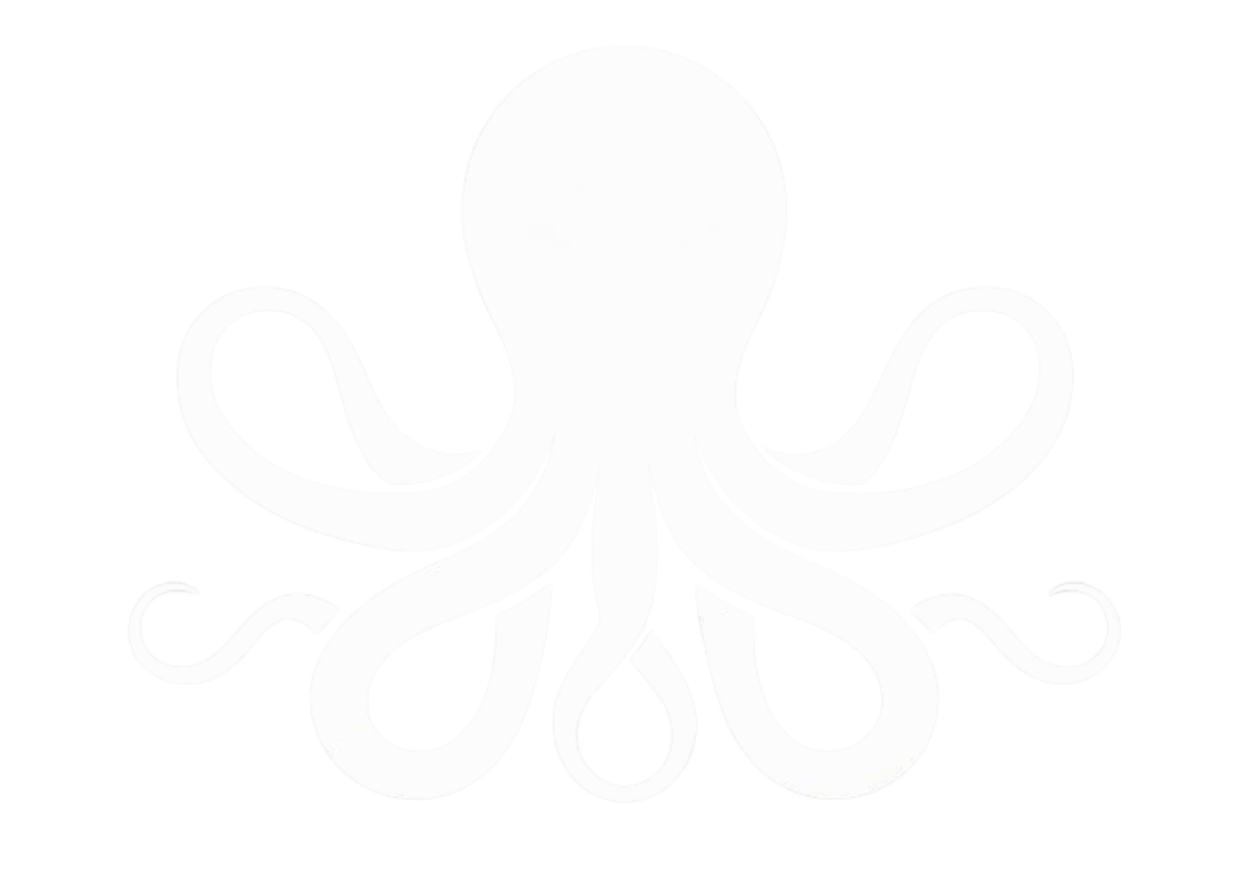 Octopus Security